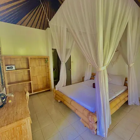 Green Coco House